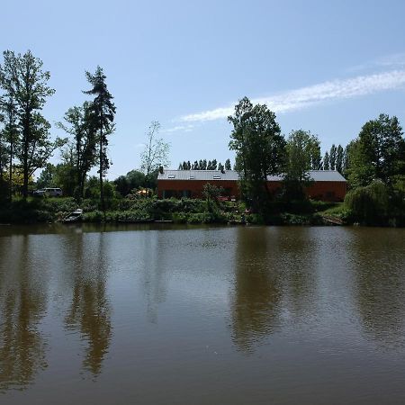 הוילה Florennes Gite Neuf 150 M2 Devant Un Grand Lac Prive De 2 Hectares Poissonneux Au Milieu Des Bois מראה חיצוני תמונה