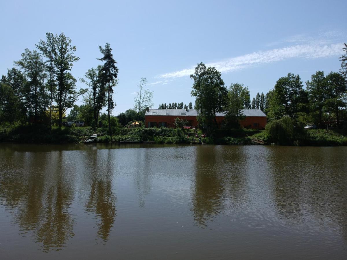 הוילה Florennes Gite Neuf 150 M2 Devant Un Grand Lac Prive De 2 Hectares Poissonneux Au Milieu Des Bois מראה חיצוני תמונה