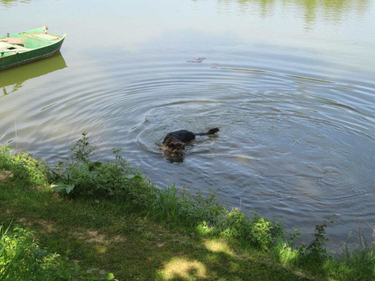 הוילה Florennes Gite Neuf 150 M2 Devant Un Grand Lac Prive De 2 Hectares Poissonneux Au Milieu Des Bois מראה חיצוני תמונה