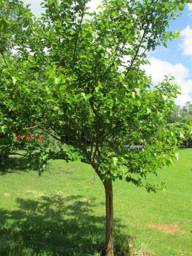 הוילה Florennes Gite Neuf 150 M2 Devant Un Grand Lac Prive De 2 Hectares Poissonneux Au Milieu Des Bois מראה חיצוני תמונה