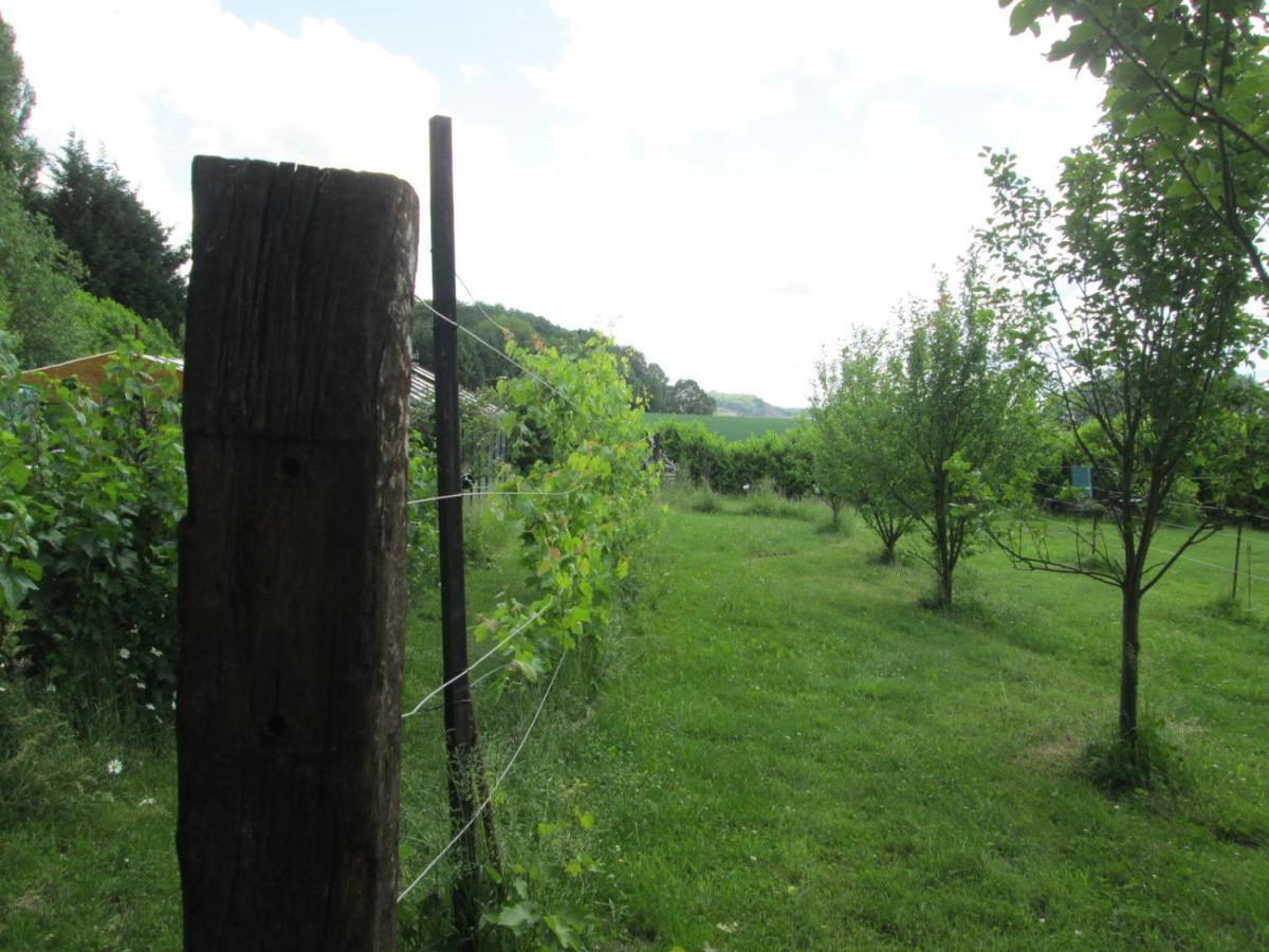 הוילה Florennes Gite Neuf 150 M2 Devant Un Grand Lac Prive De 2 Hectares Poissonneux Au Milieu Des Bois מראה חיצוני תמונה