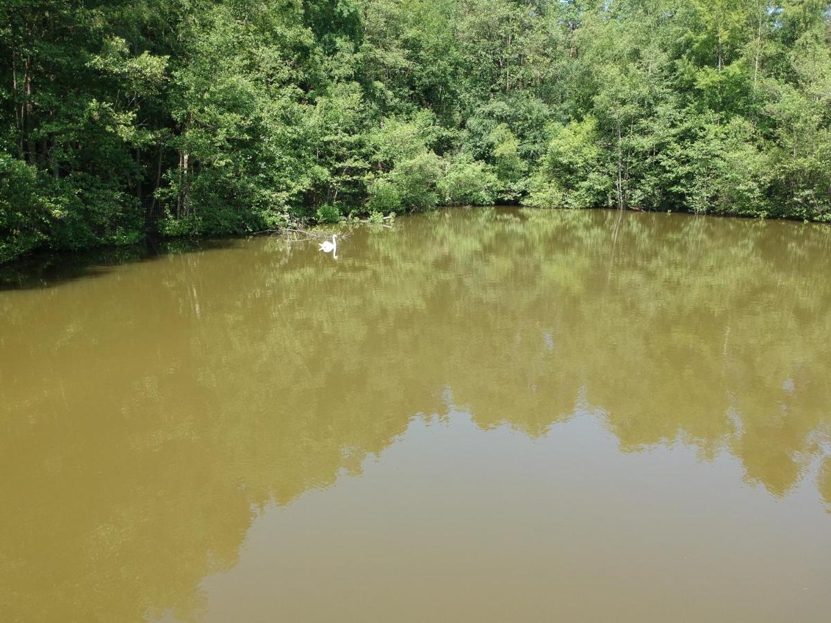 הוילה Florennes Gite Neuf 150 M2 Devant Un Grand Lac Prive De 2 Hectares Poissonneux Au Milieu Des Bois מראה חיצוני תמונה