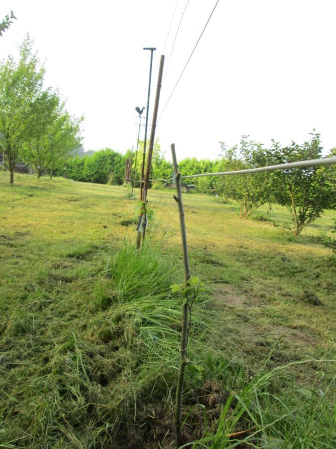 הוילה Florennes Gite Neuf 150 M2 Devant Un Grand Lac Prive De 2 Hectares Poissonneux Au Milieu Des Bois מראה חיצוני תמונה