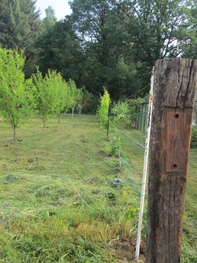 הוילה Florennes Gite Neuf 150 M2 Devant Un Grand Lac Prive De 2 Hectares Poissonneux Au Milieu Des Bois מראה חיצוני תמונה