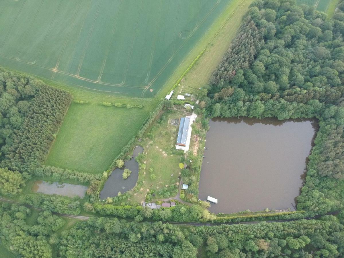 הוילה Florennes Gite Neuf 150 M2 Devant Un Grand Lac Prive De 2 Hectares Poissonneux Au Milieu Des Bois מראה חיצוני תמונה