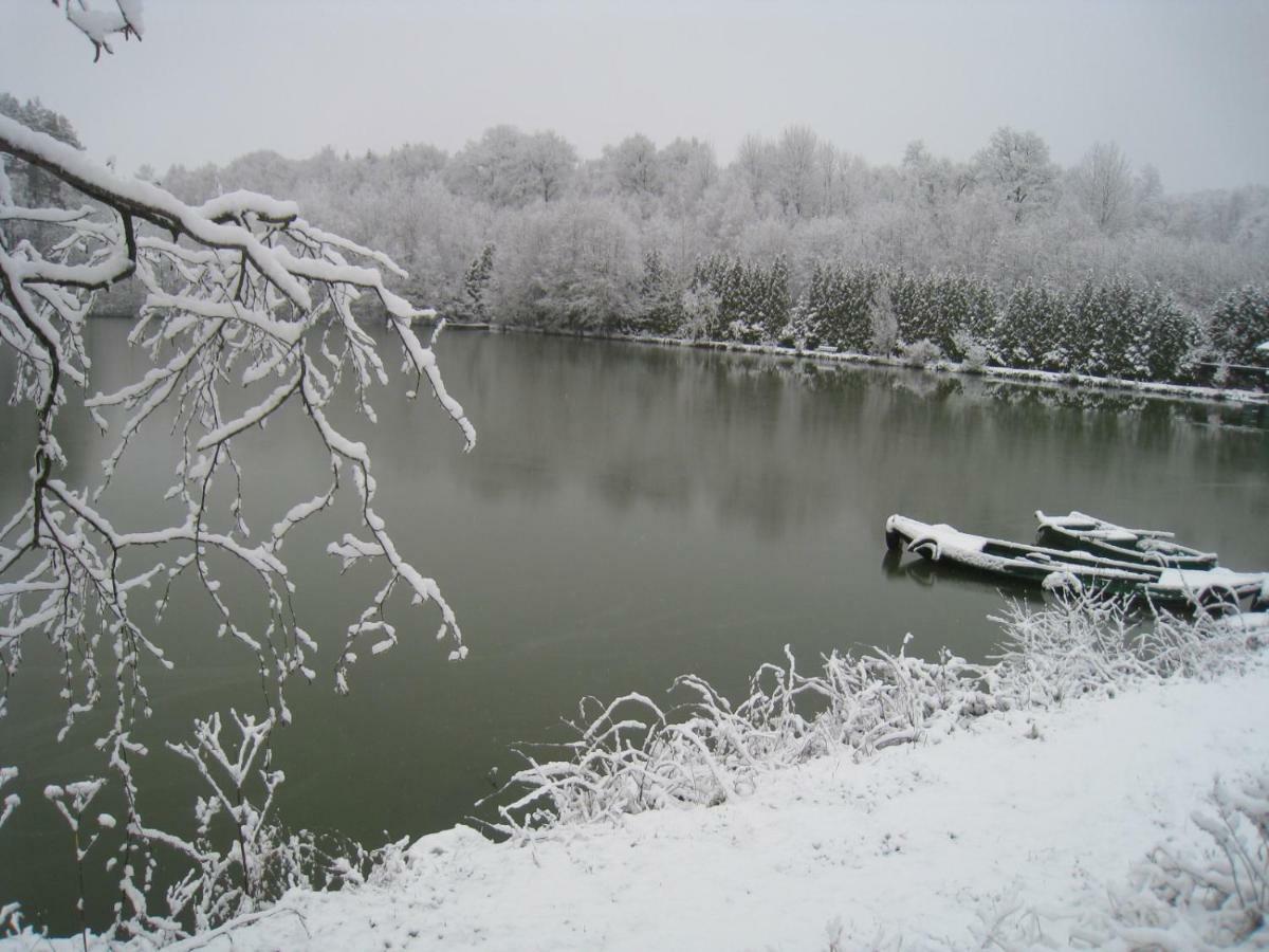 הוילה Florennes Gite Neuf 150 M2 Devant Un Grand Lac Prive De 2 Hectares Poissonneux Au Milieu Des Bois מראה חיצוני תמונה