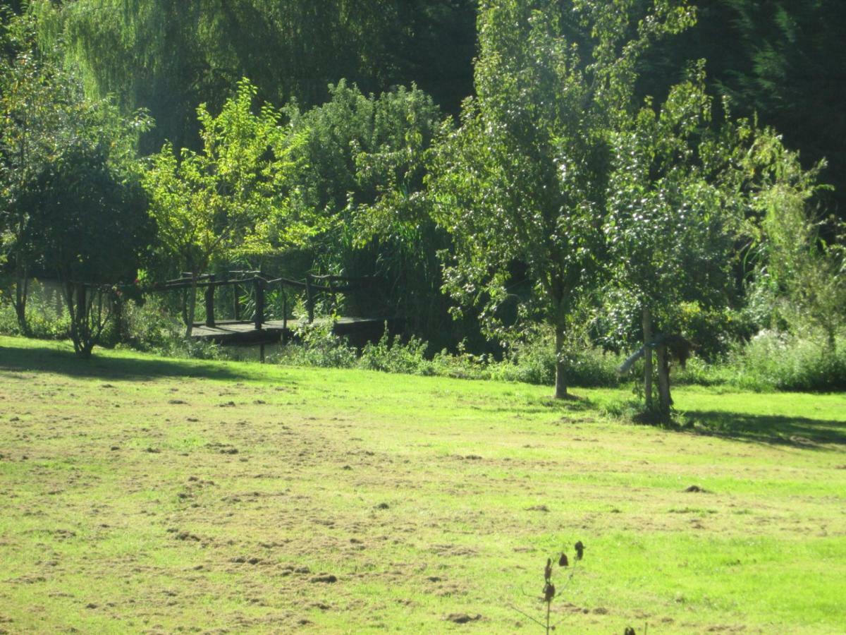 הוילה Florennes Gite Neuf 150 M2 Devant Un Grand Lac Prive De 2 Hectares Poissonneux Au Milieu Des Bois מראה חיצוני תמונה