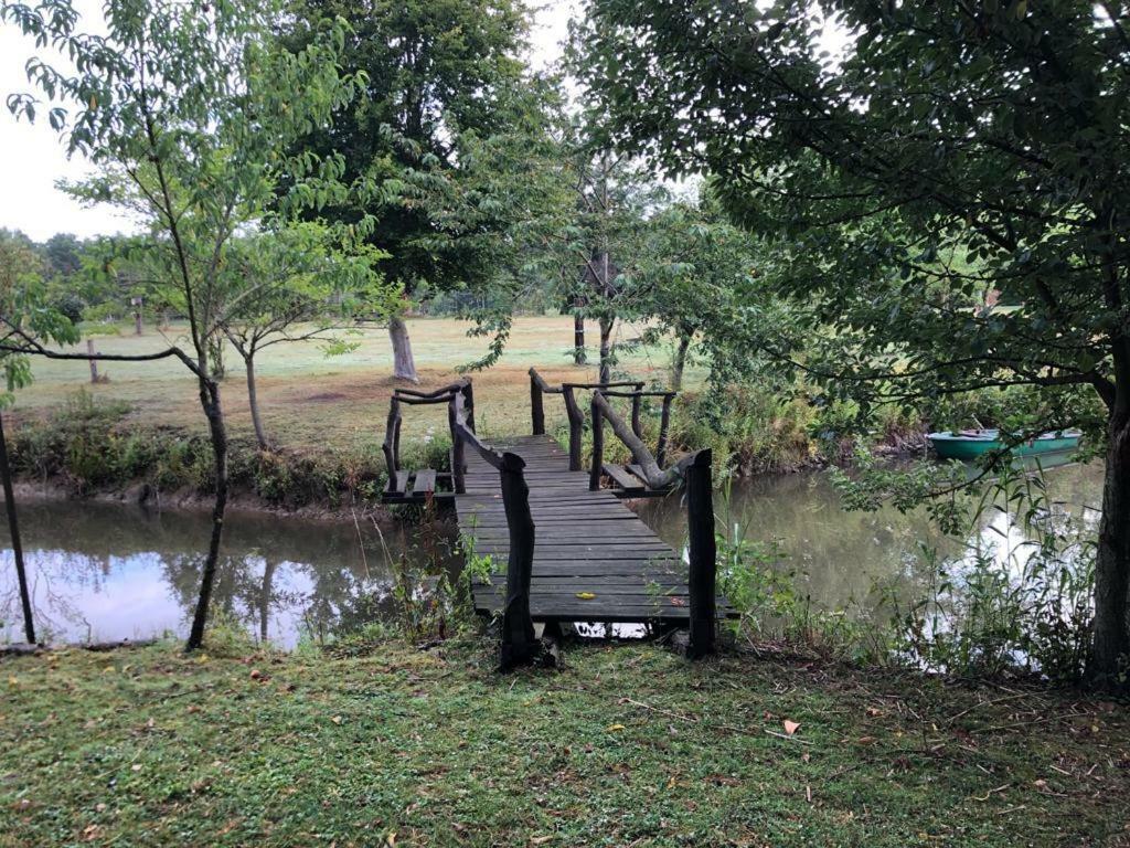 הוילה Florennes Gite Neuf 150 M2 Devant Un Grand Lac Prive De 2 Hectares Poissonneux Au Milieu Des Bois מראה חיצוני תמונה