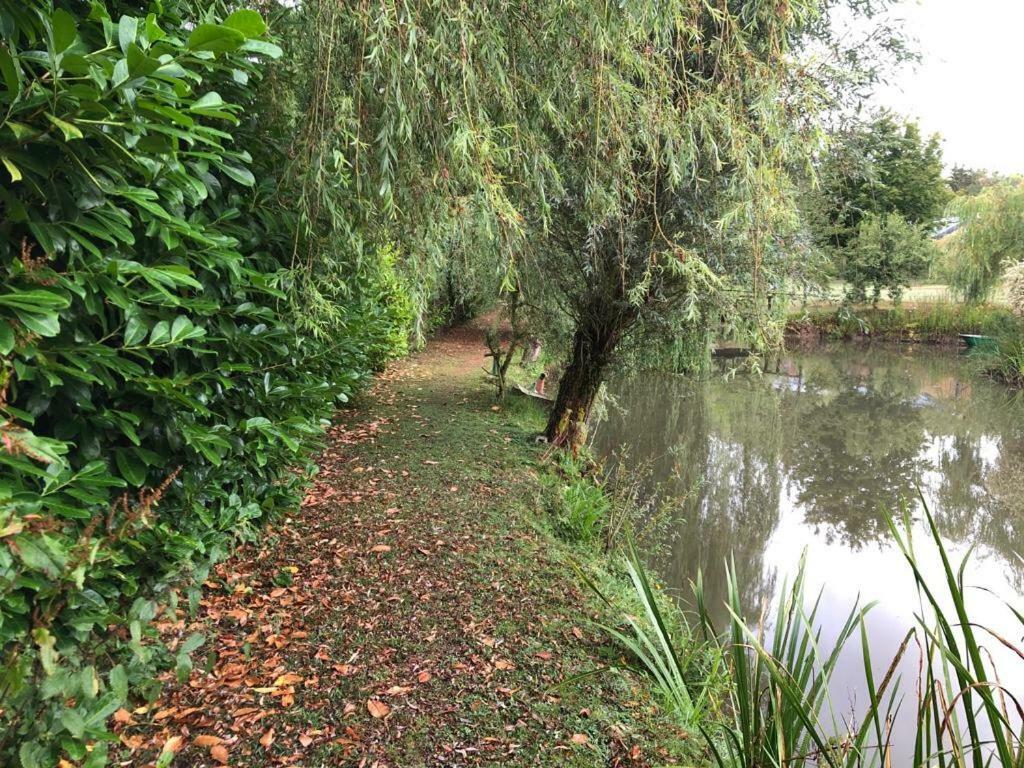 הוילה Florennes Gite Neuf 150 M2 Devant Un Grand Lac Prive De 2 Hectares Poissonneux Au Milieu Des Bois מראה חיצוני תמונה